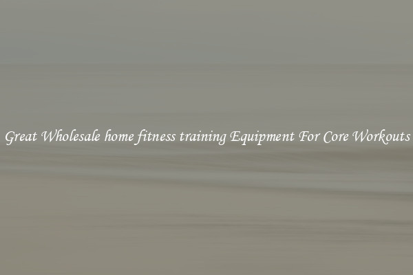 Great Wholesale home fitness training Equipment For Core Workouts