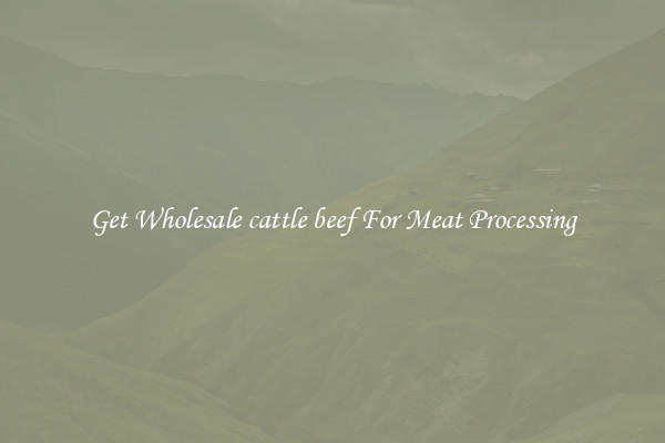 Get Wholesale cattle beef For Meat Processing