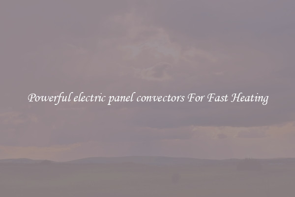 Powerful electric panel convectors For Fast Heating