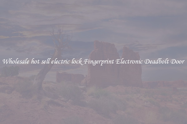 Wholesale hot sell electric lock Fingerprint Electronic Deadbolt Door 