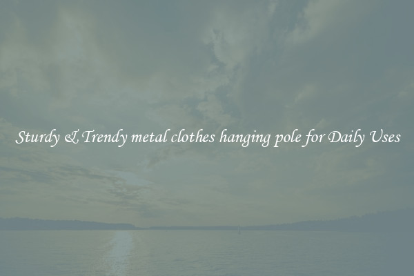 Sturdy & Trendy metal clothes hanging pole for Daily Uses