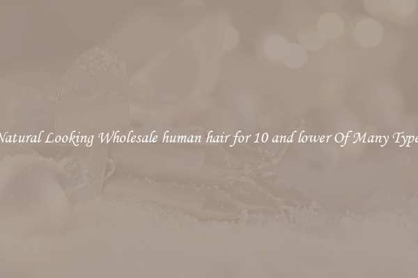 Natural Looking Wholesale human hair for 10 and lower Of Many Types