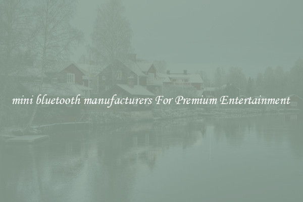 mini bluetooth manufacturers For Premium Entertainment 