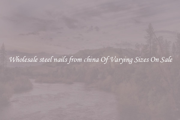 Wholesale steel nails from china Of Varying Sizes On Sale