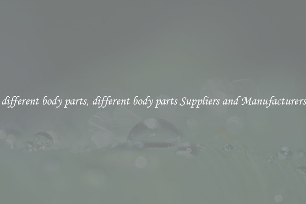 different body parts, different body parts Suppliers and Manufacturers