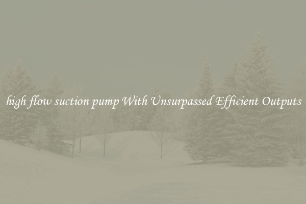 high flow suction pump With Unsurpassed Efficient Outputs