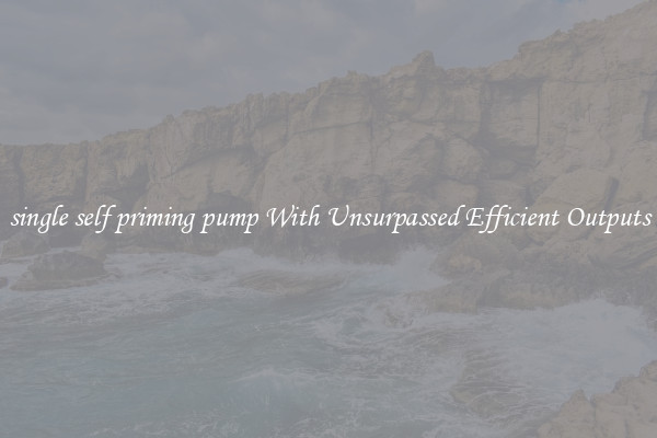 single self priming pump With Unsurpassed Efficient Outputs
