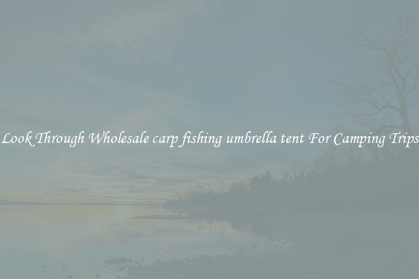 Look Through Wholesale carp fishing umbrella tent For Camping Trips