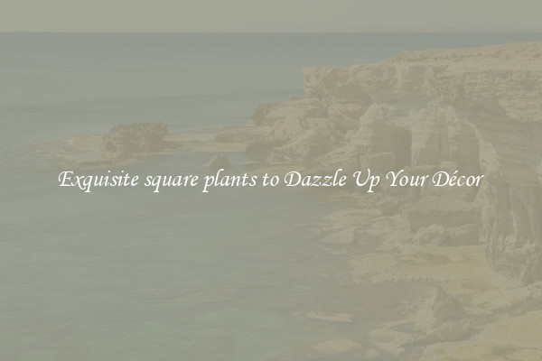 Exquisite square plants to Dazzle Up Your Décor 