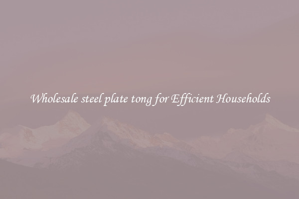 Wholesale steel plate tong for Efficient Households