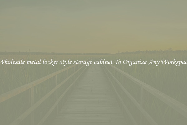 Wholesale metal locker style storage cabinet To Organize Any Workspace