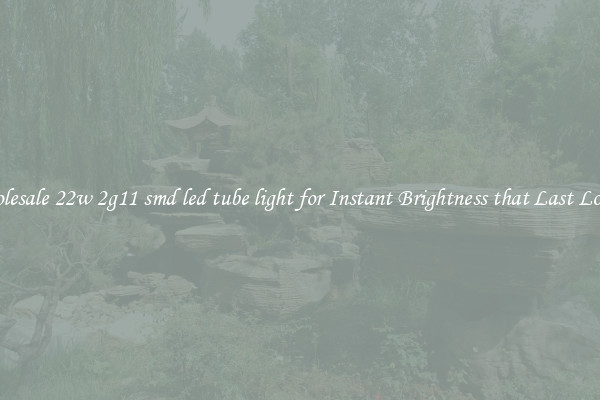 Wholesale 22w 2g11 smd led tube light for Instant Brightness that Last Longer