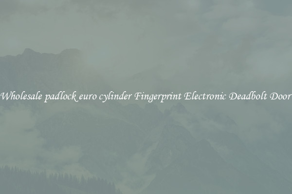 Wholesale padlock euro cylinder Fingerprint Electronic Deadbolt Door 
