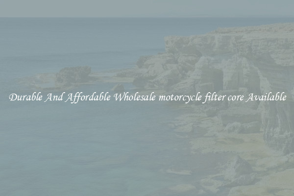 Durable And Affordable Wholesale motorcycle filter core Available