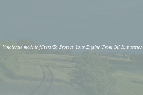 Wholesale module filters To Protect Your Engine From Oil Impurities