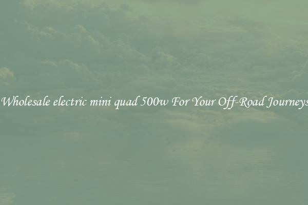 Wholesale electric mini quad 500w For Your Off-Road Journeys