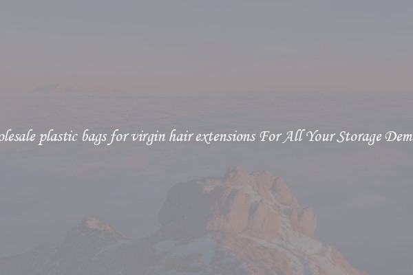 Wholesale plastic bags for virgin hair extensions For All Your Storage Demands