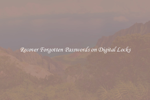 Recover Forgotten Passwords on Digital Locks