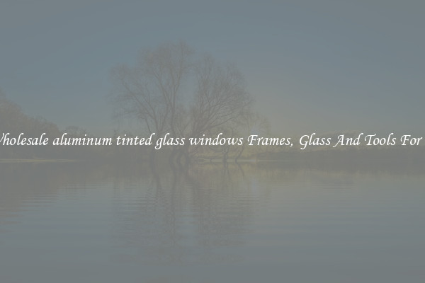 Get Wholesale aluminum tinted glass windows Frames, Glass And Tools For Repair