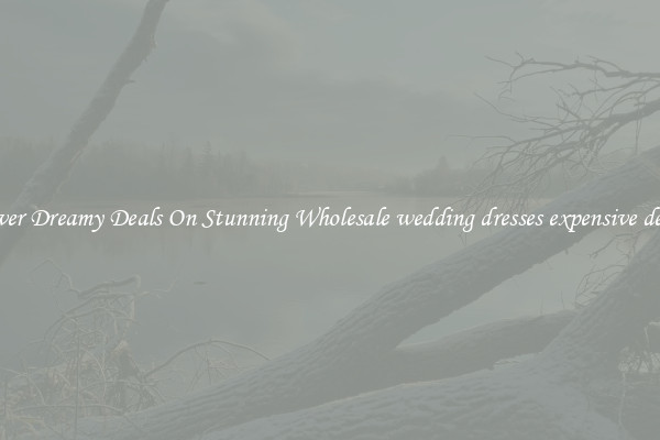 Discover Dreamy Deals On Stunning Wholesale wedding dresses expensive designer
