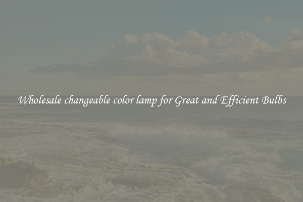 Wholesale changeable color lamp for Great and Efficient Bulbs
