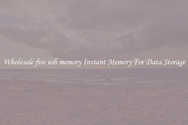 Wholesale fire usb memory Instant Memory For Data Storage
