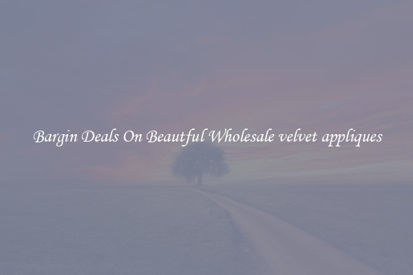 Bargin Deals On Beautful Wholesale velvet appliques