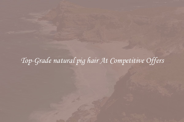 Top-Grade natural pig hair At Competitive Offers