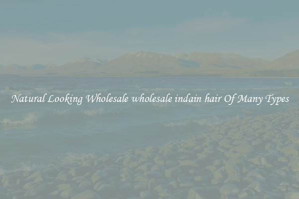 Natural Looking Wholesale wholesale indain hair Of Many Types